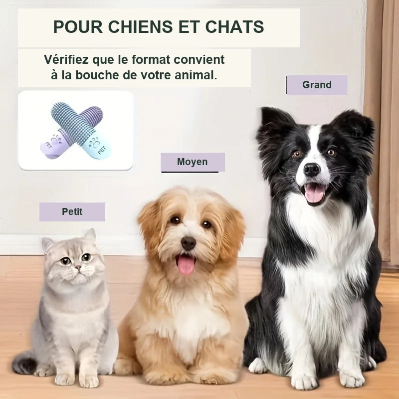 Doigtier dentaire 360° – Chien & chat – vue 4