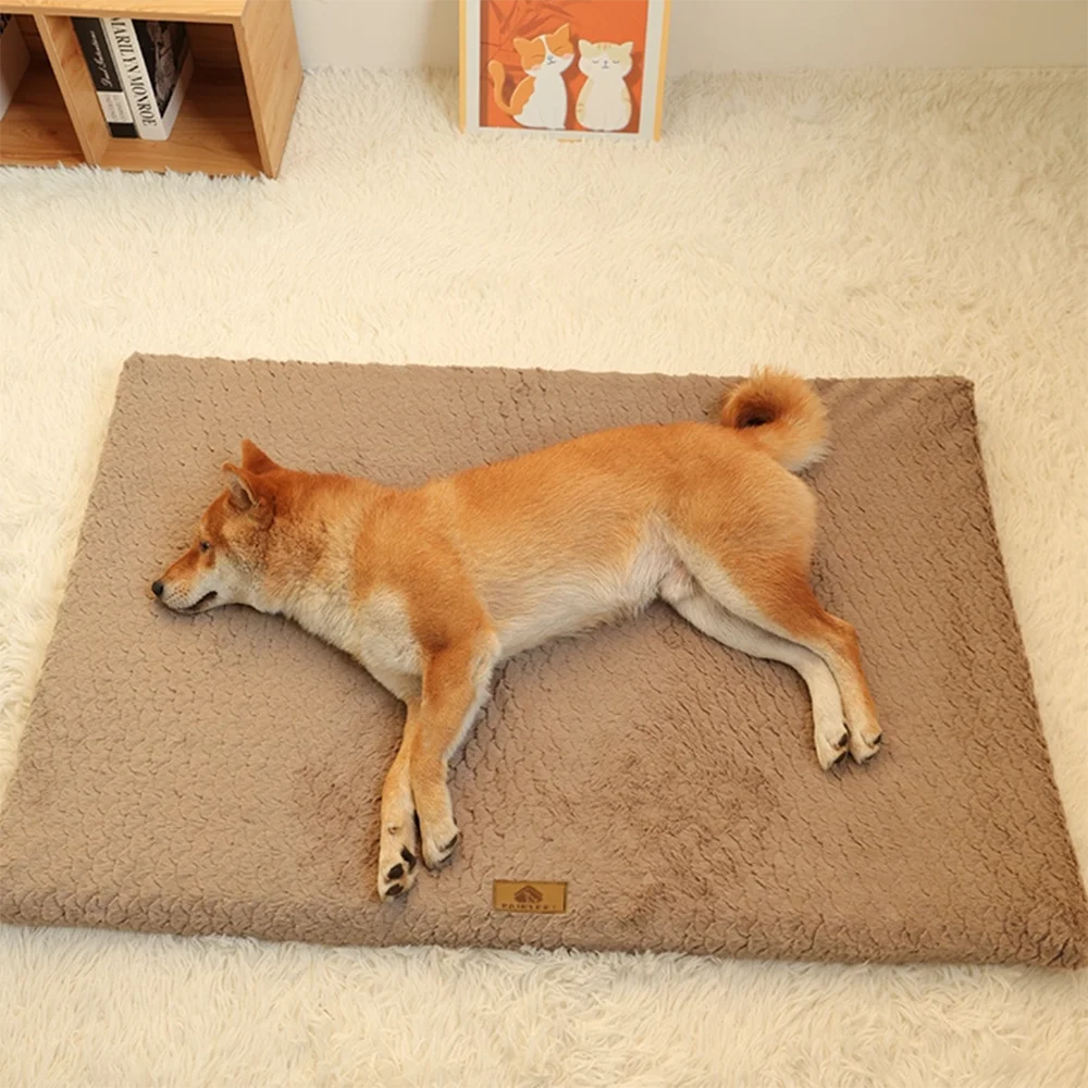 Coussin orthopédique déhoussable – Chien – vue 2