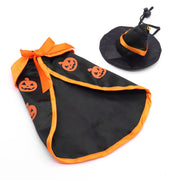 Cape Halloween citrouilles – Chien & chat