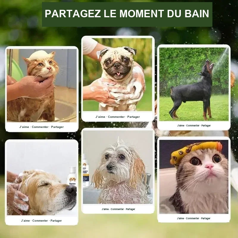 Shampoing et après-shampoing 2-en-1 pour chien, flacon de 300 ml – vue 3