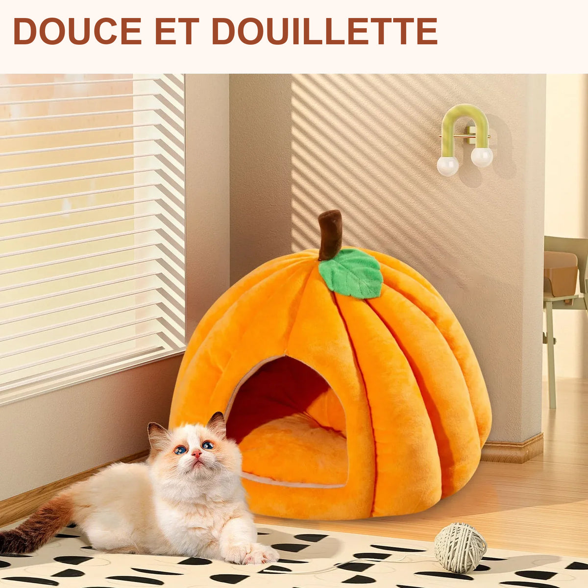 Maison Citrouille douillette – Chien & chat