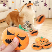 Jouet citrouille sonore Halloween – Chien, 3 modèles