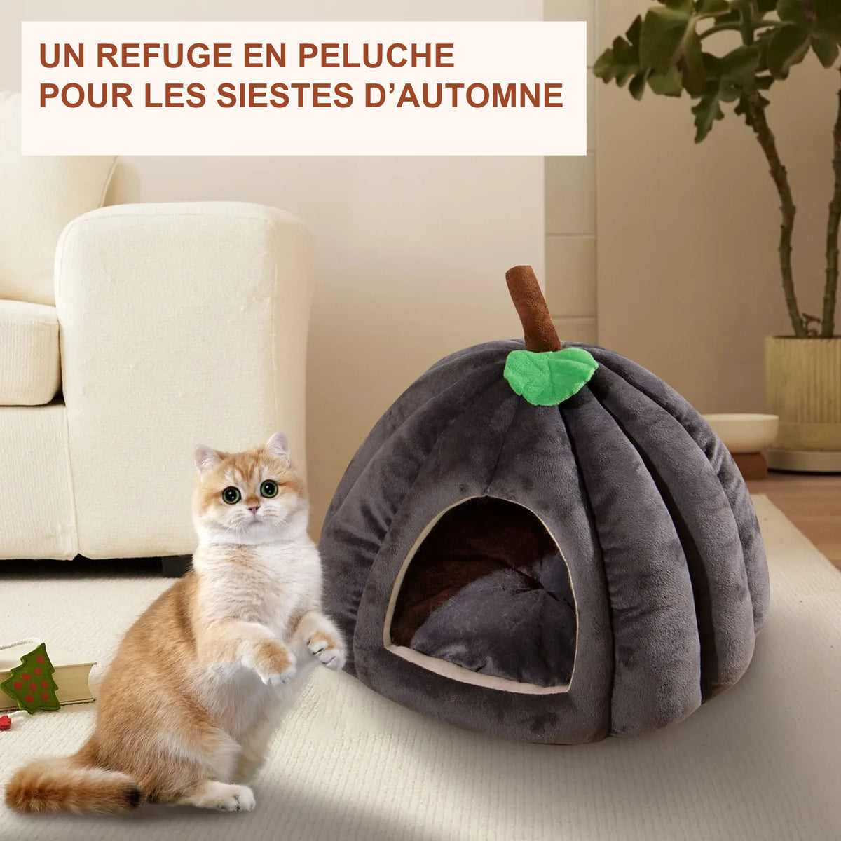 Maison Citrouille douillette – Chien & chat