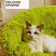 Chat installé dans le panier Monstre vert en peluche épaisse