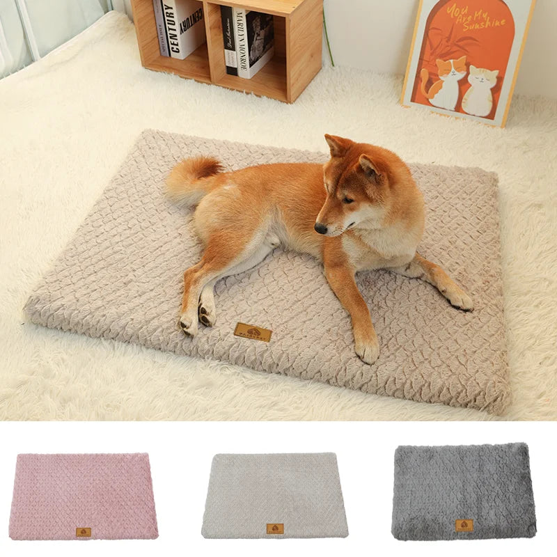 Coussin orthopédique déhoussable – Chien – vue 1