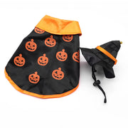 Cape Halloween citrouilles – Chien & chat