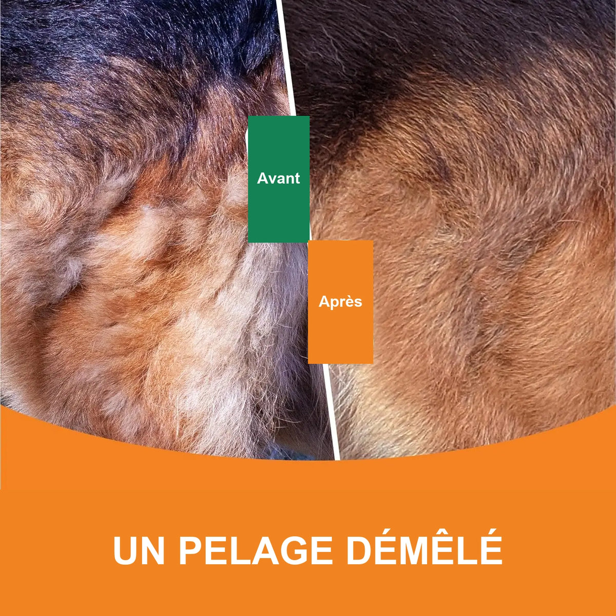 Brosse 3-en-1 anti-nœuds – Chien & chat – vue 6