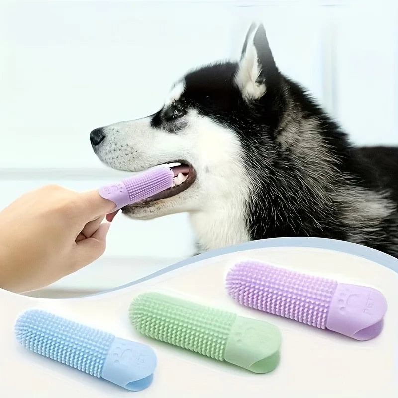 Doigtier dentaire 360° – Chien & chat – vue 2