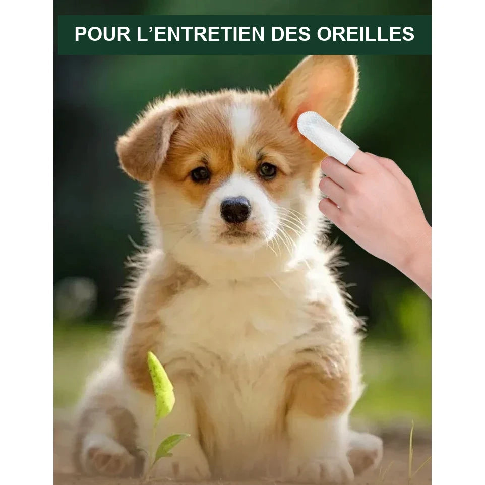 Lingettes doigtiers oreilles – Chien & chat, 50 unités – vue 2