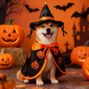 Cape Halloween citrouilles – Chien & chat