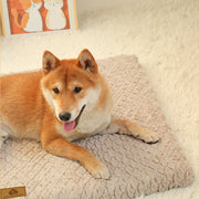 Coussin orthopédique déhoussable – Chien – vue 4