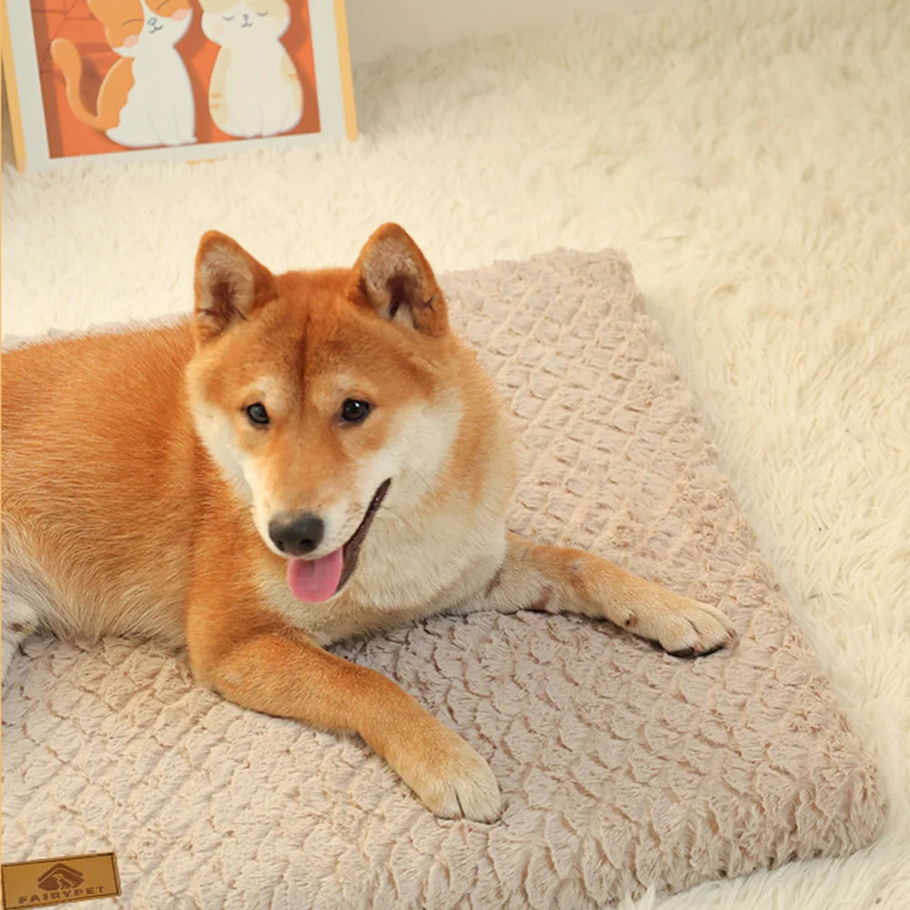 Coussin orthopédique déhoussable – Chien – vue 4
