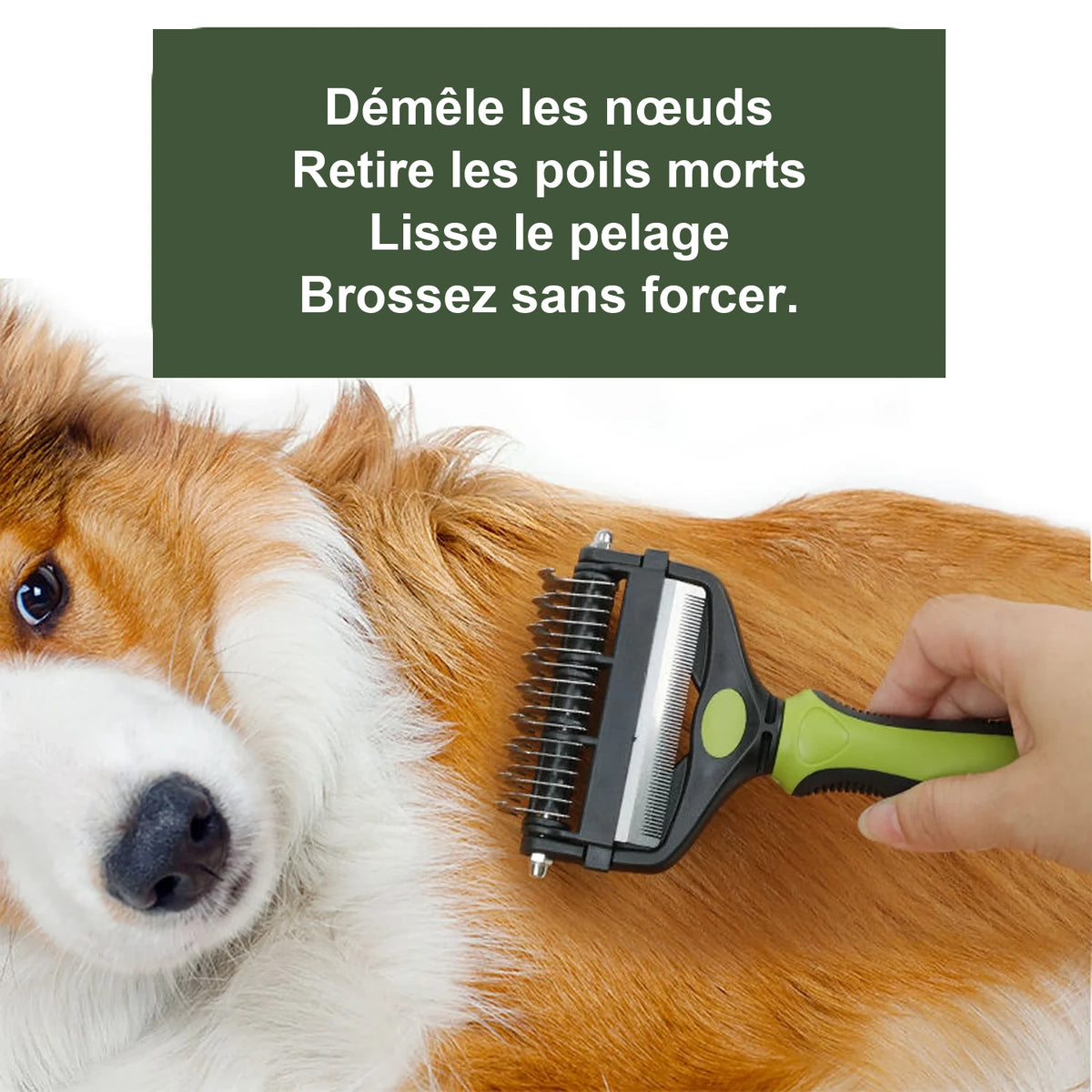 Brosse 3-en-1 anti-nœuds – Chien & chat – vue 5