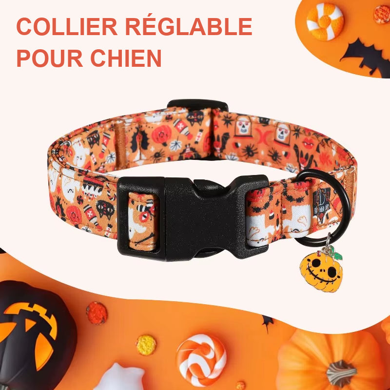 Collier Halloween réglable orange pour chien, fermeture à clip et pendentif citrouille