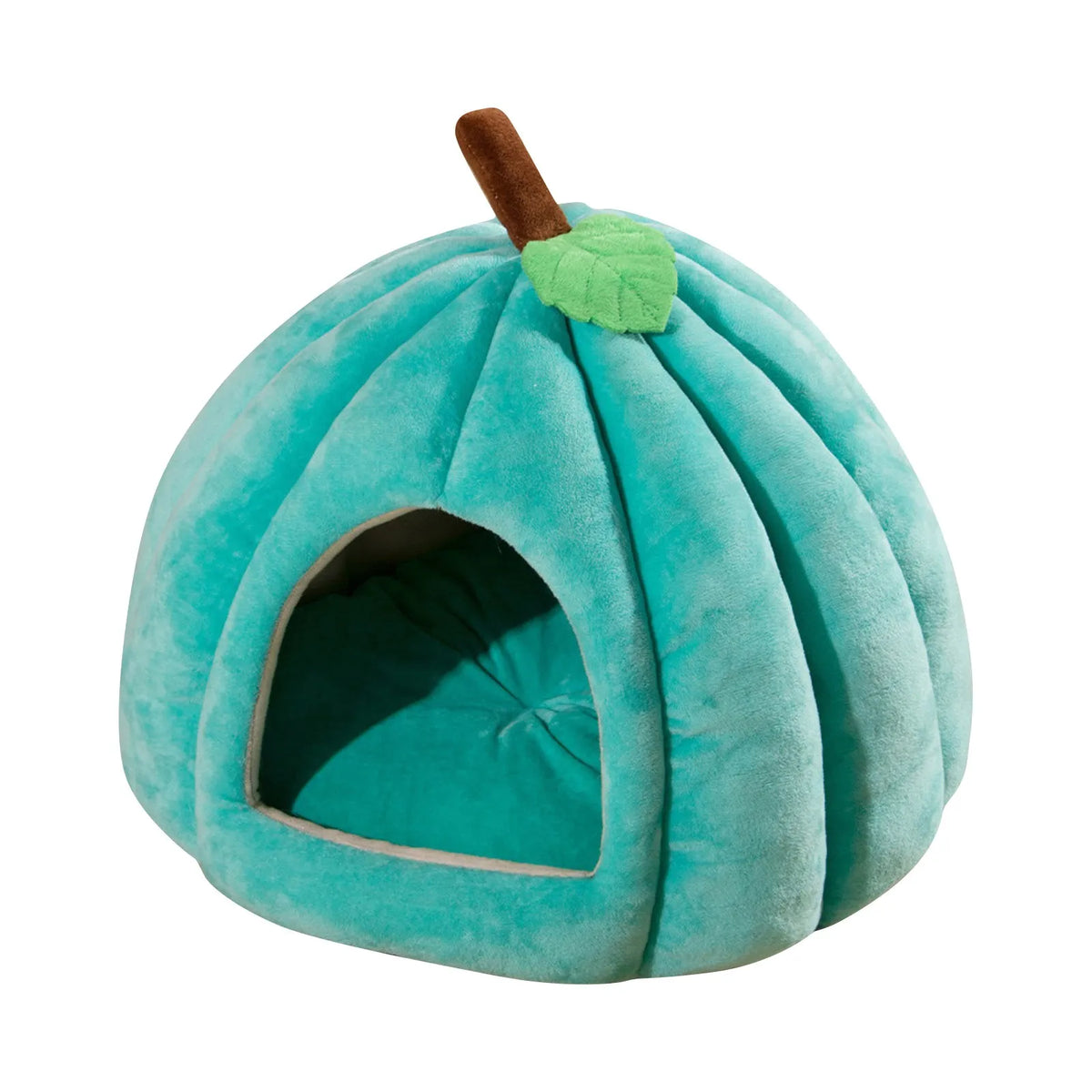 Maison Citrouille douillette – Chien & chat