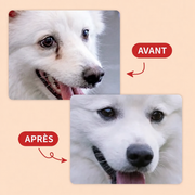 Baume nettoyant contour des yeux – Chien & chat, 30 g